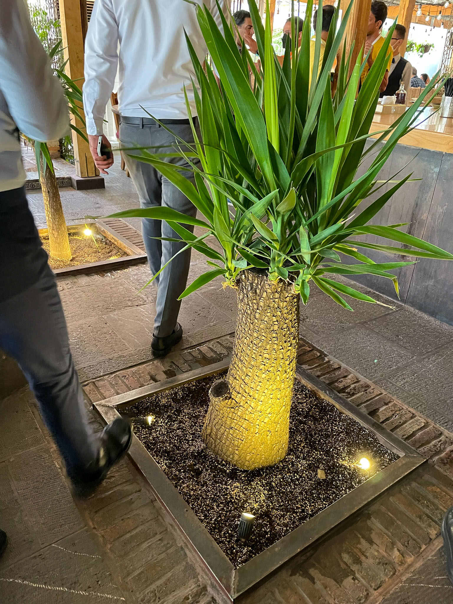 20220926-6106.jpg