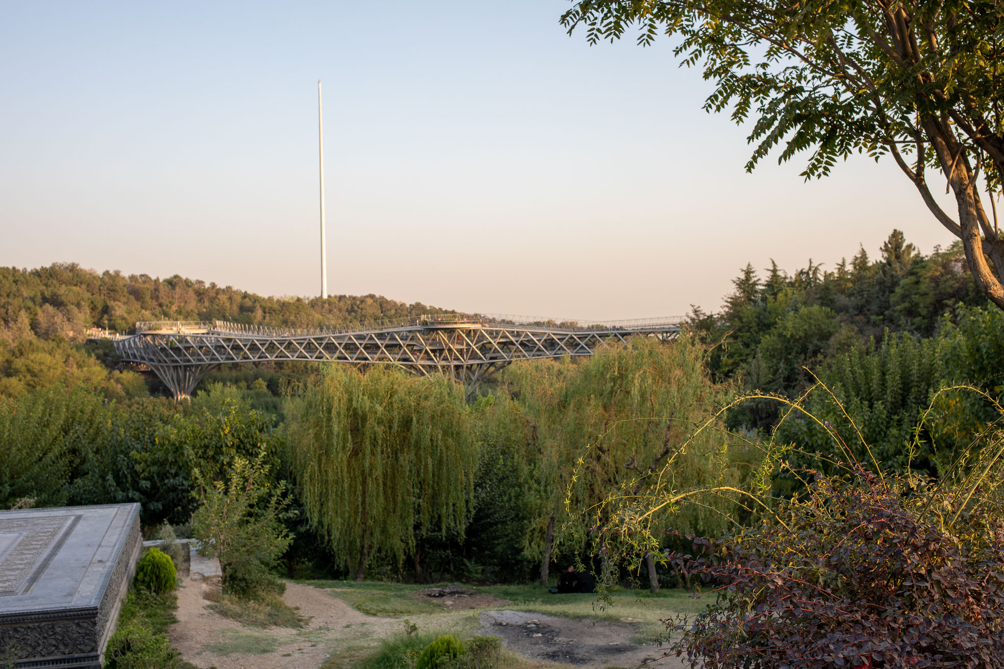 20220926-7718.jpg