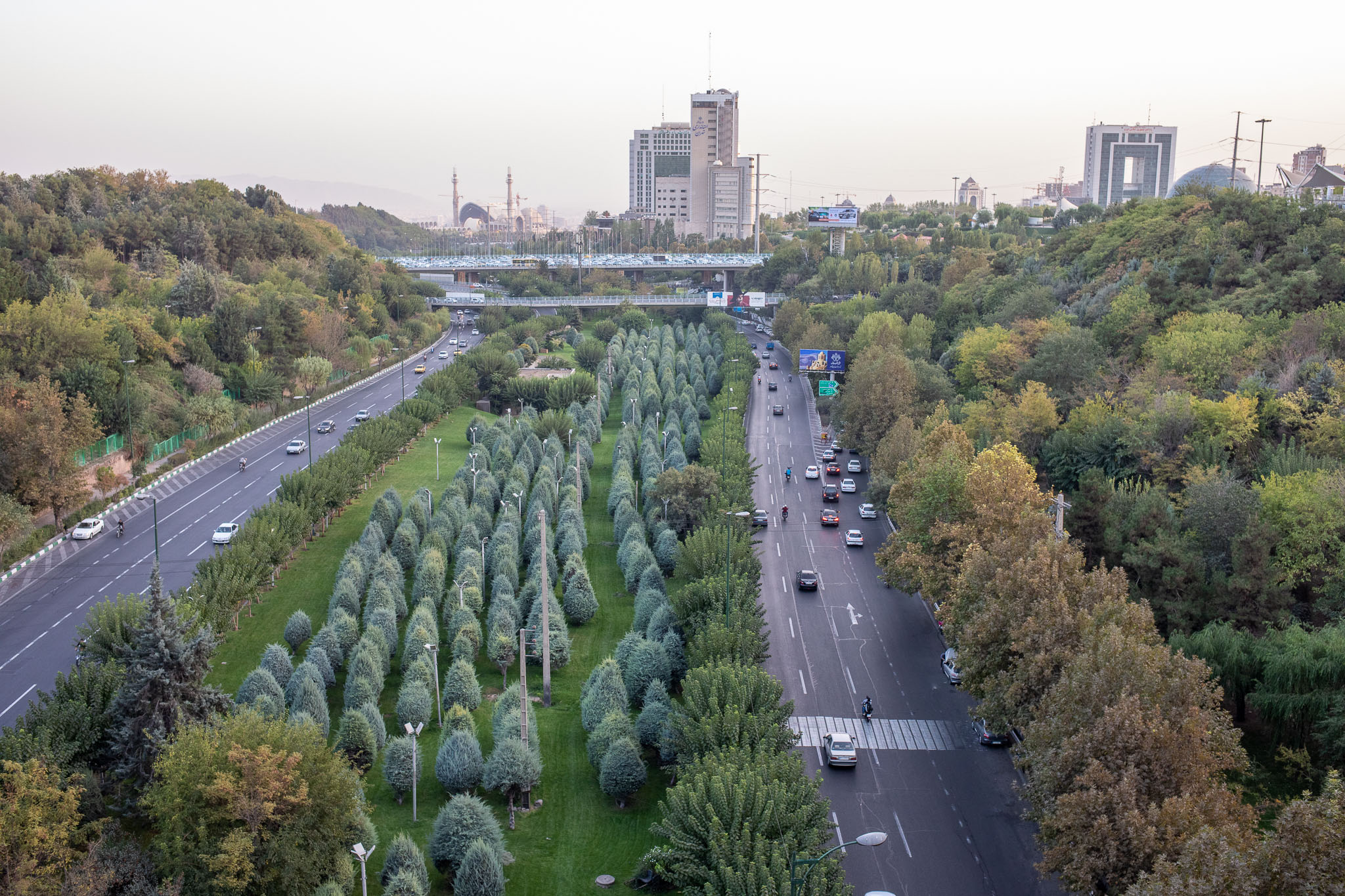 20220926-7740.jpg