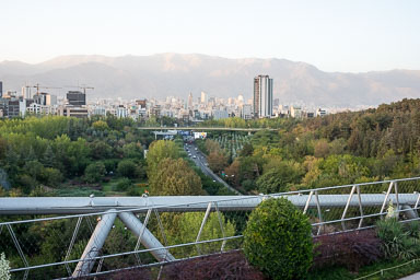 20220926-7739.jpg