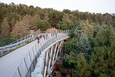 20220926-7744.jpg