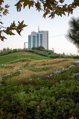20220926-7761.jpg