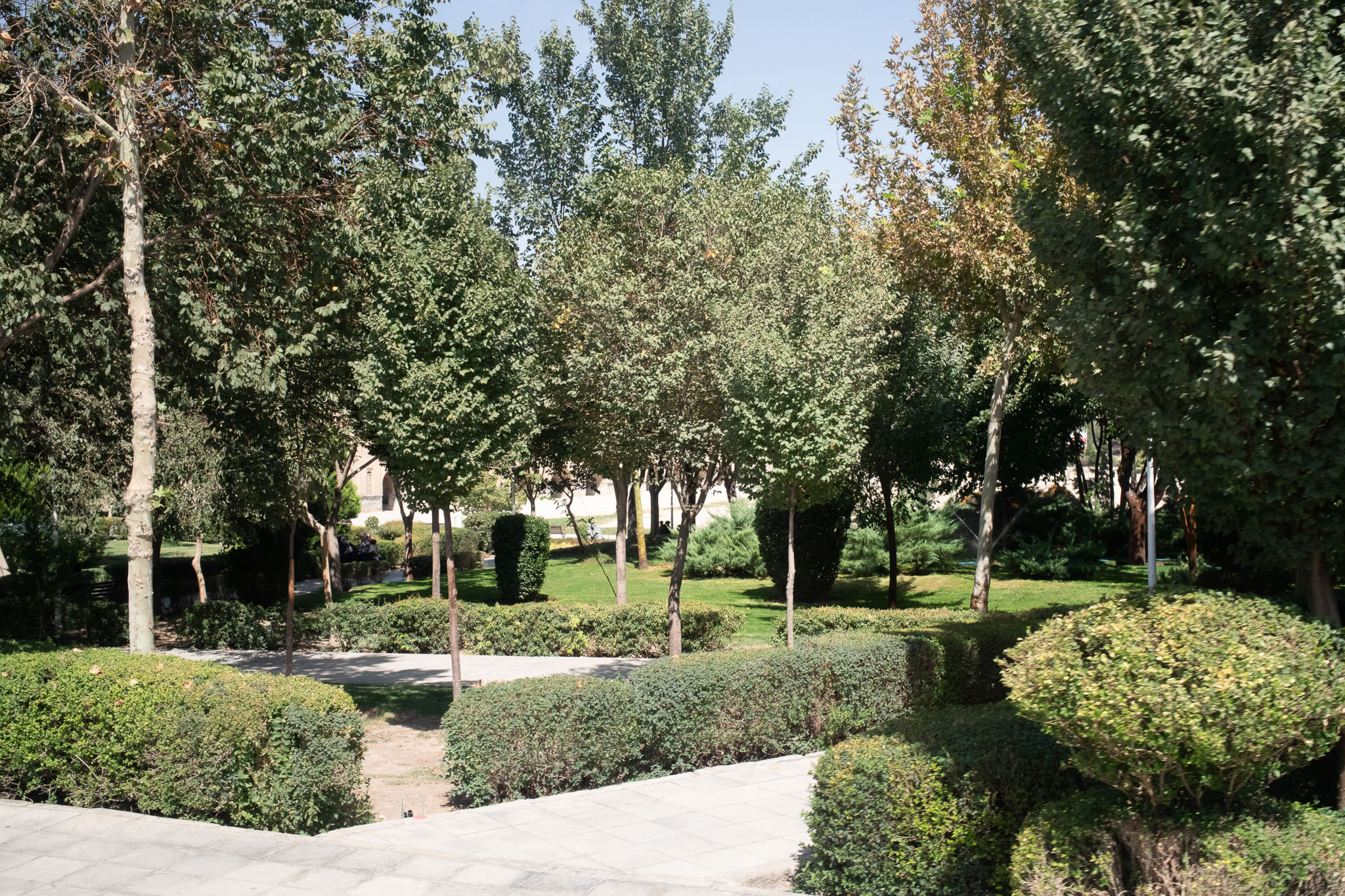 20220929-8046.jpg