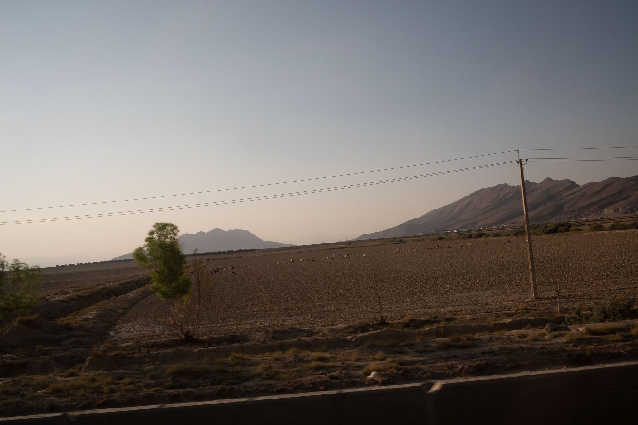 20221002-8541.jpg