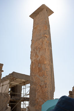20221002-8487.jpg