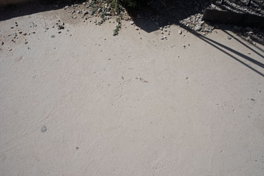 20221002-8500.jpg