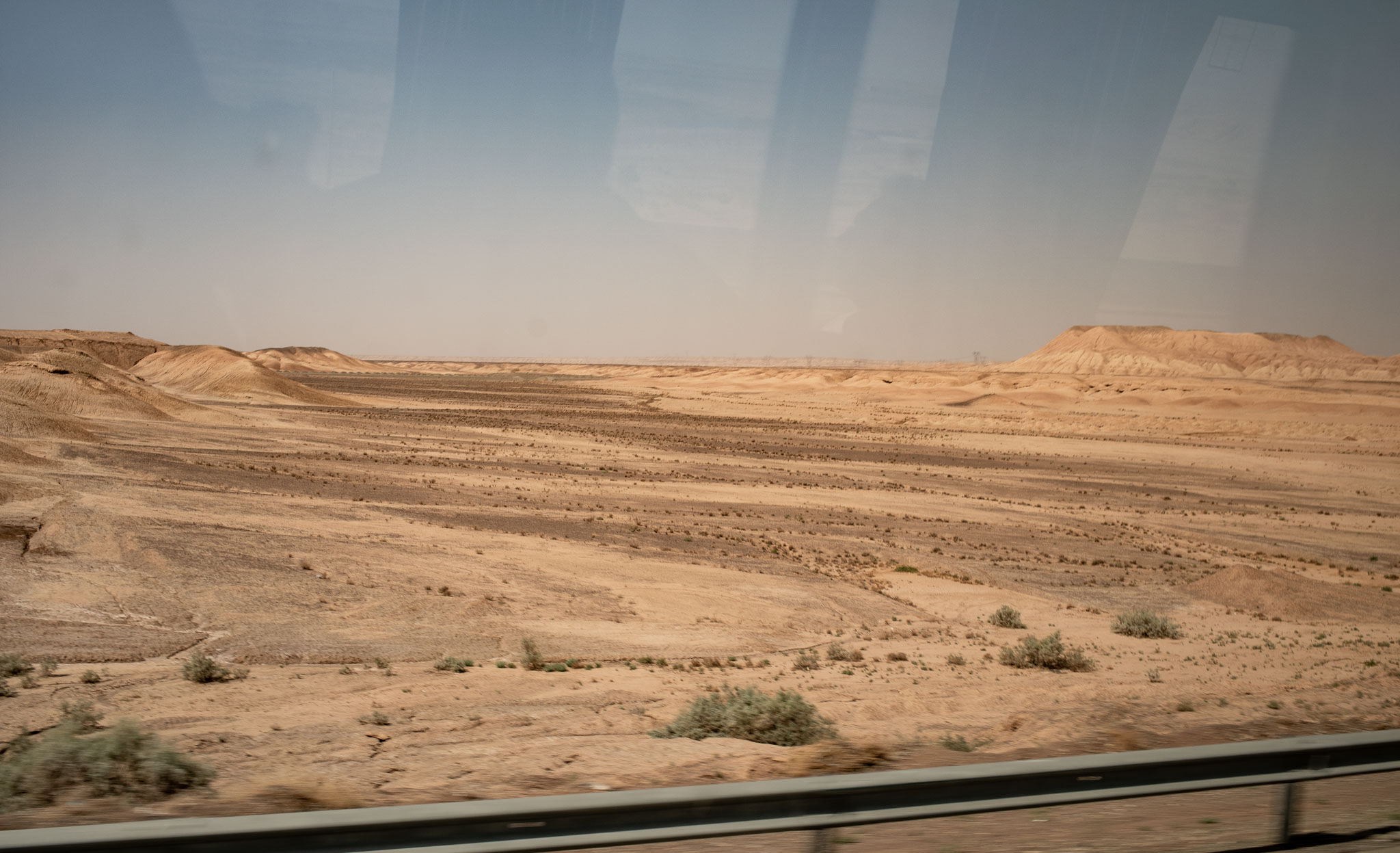 20220927-7830.jpg
