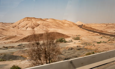 20220927-7826.jpg