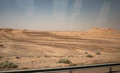 20220927-7830.jpg